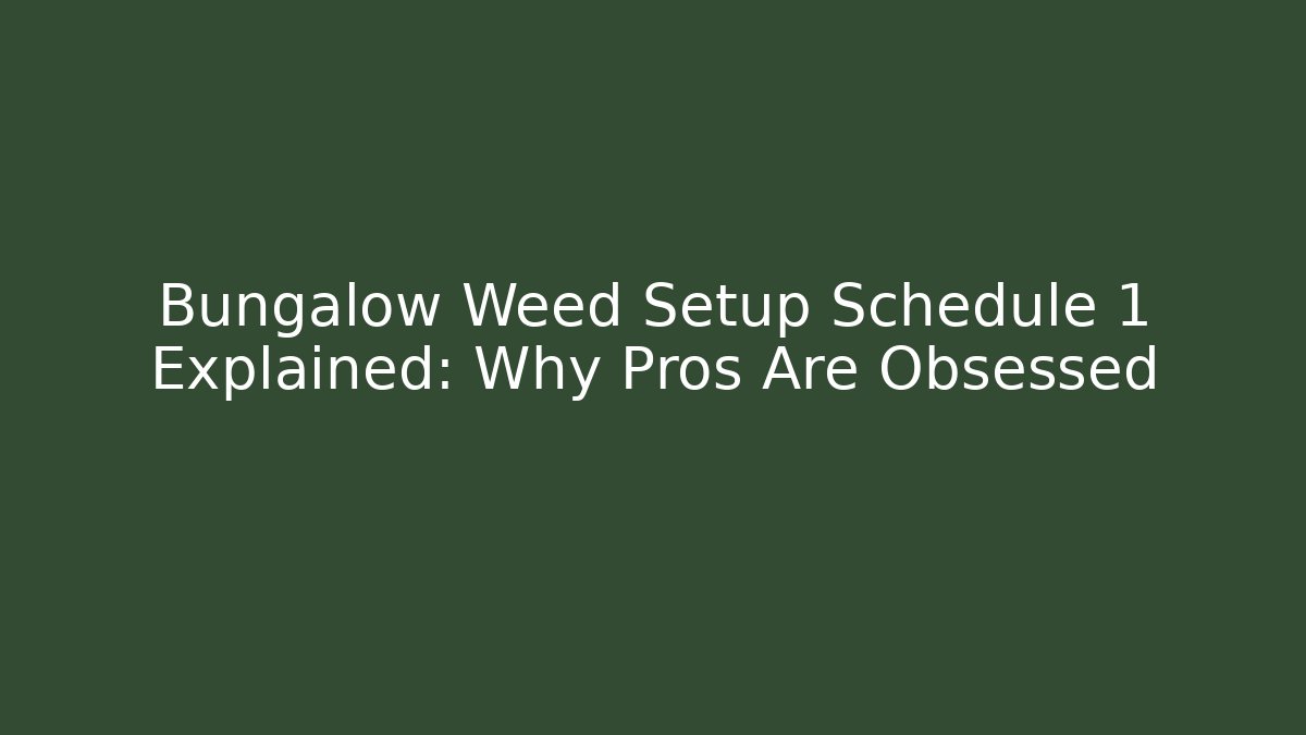 Bungalow Weed Setup Schedule 1 Explained: Why Pros Are Obsessed