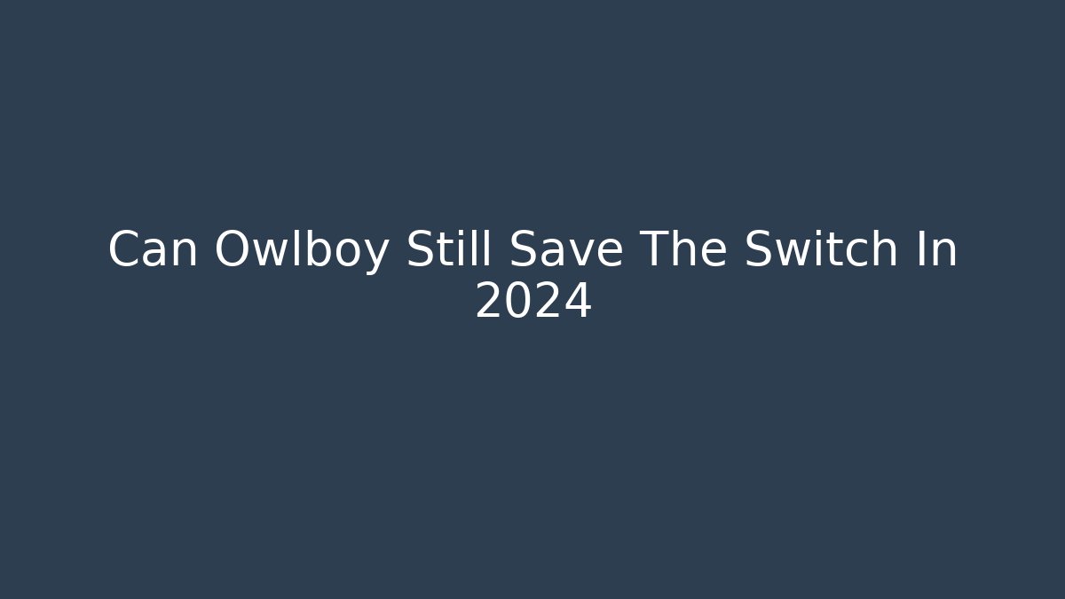Can Owlboy Still Save The Switch In 2024