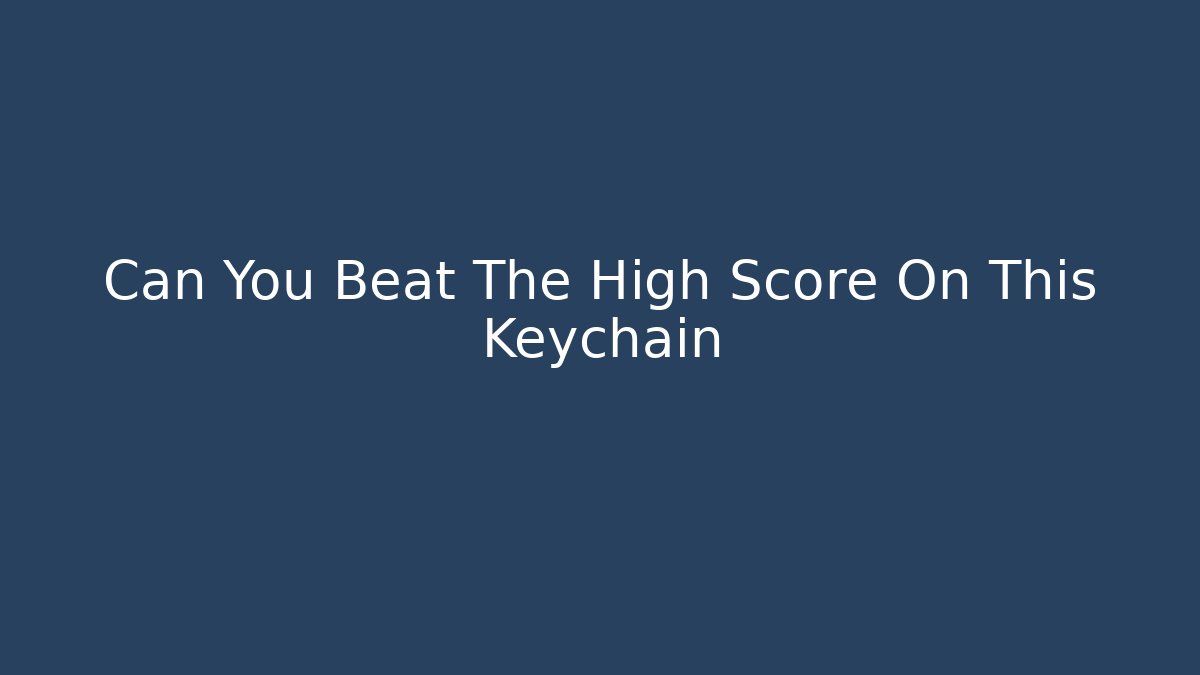 Can You Beat The High Score On This Keychain - The Family Holidays