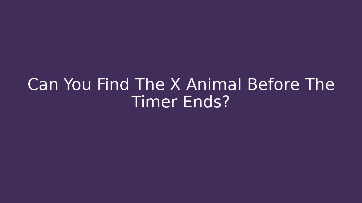 Can You Find The X Animal Before The Timer Ends?