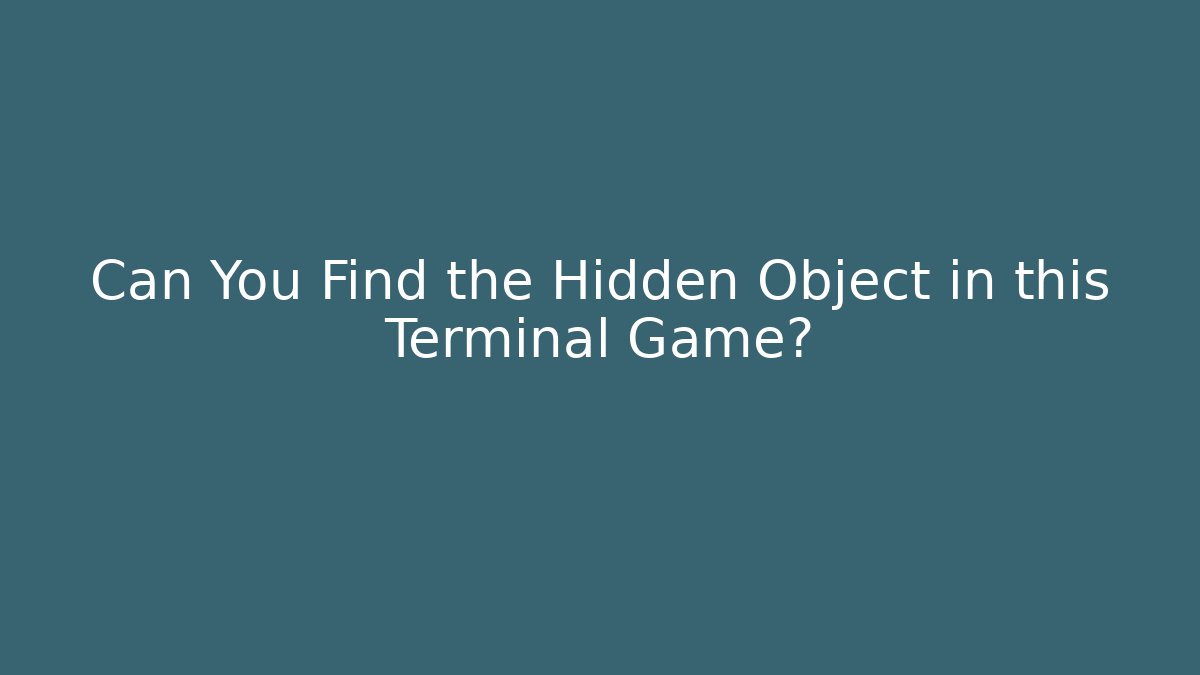Can You Find the Hidden Object in this Terminal Game?