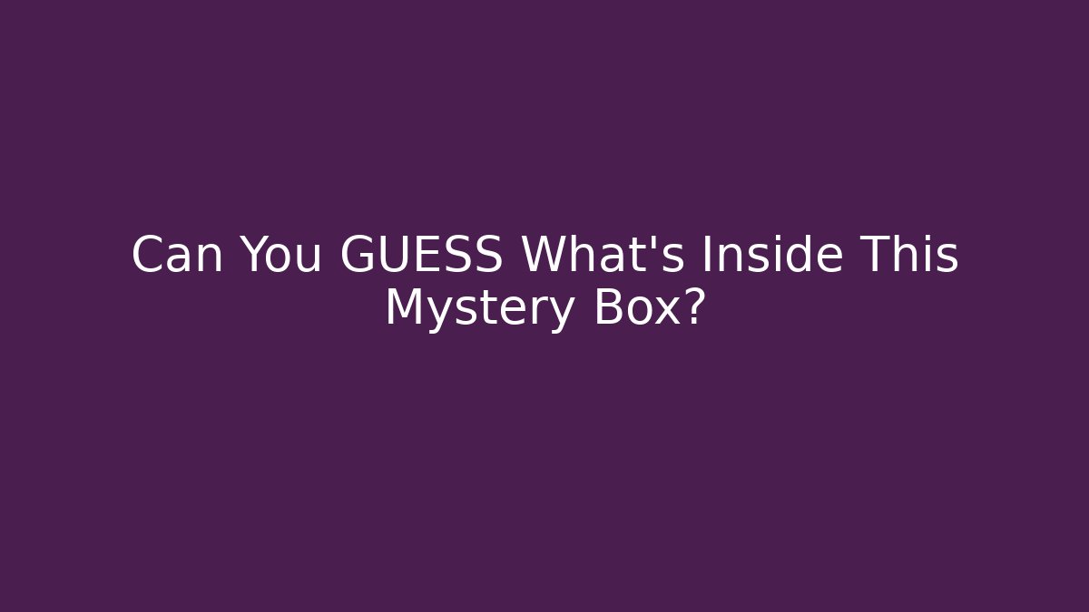 Can You GUESS What's Inside This Mystery Box?