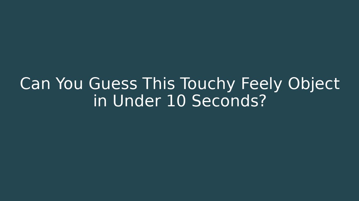 Can You Guess This Touchy Feely Object in Under 10 Seconds?
