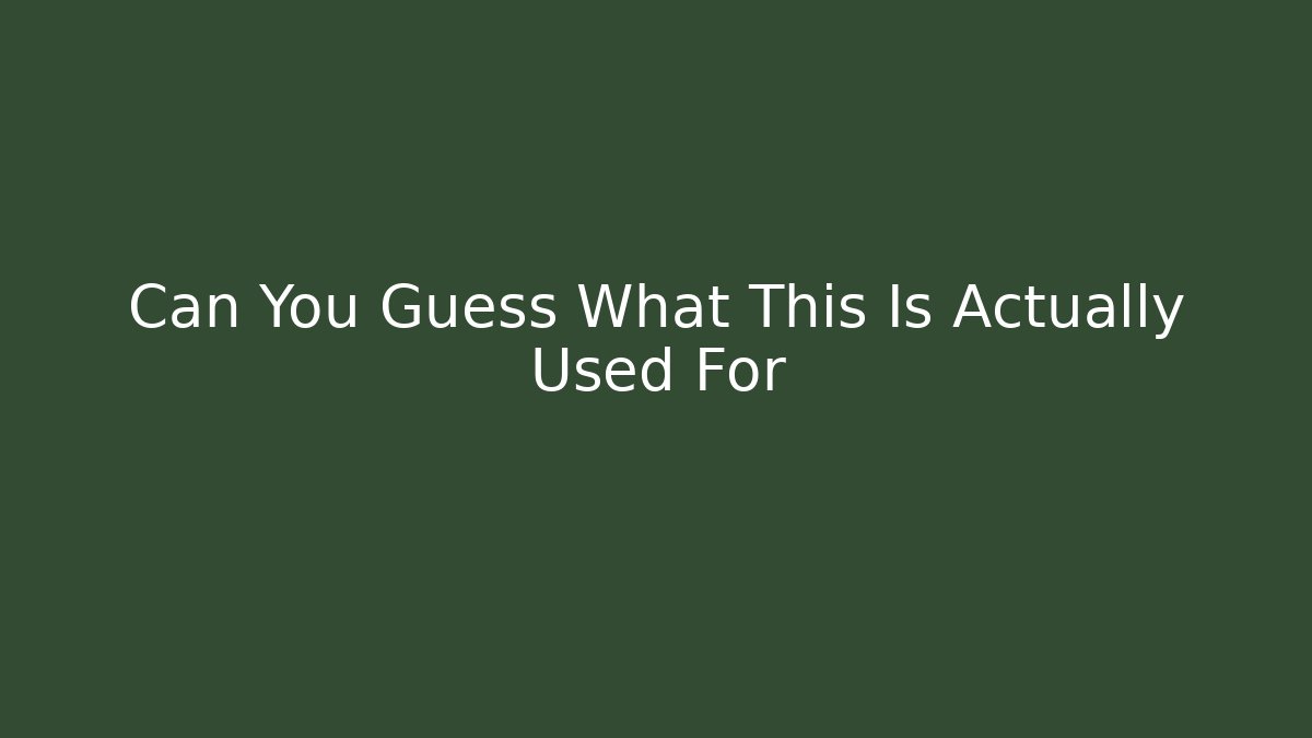 Can You Guess What This Is Actually Used For - The Family Holidays