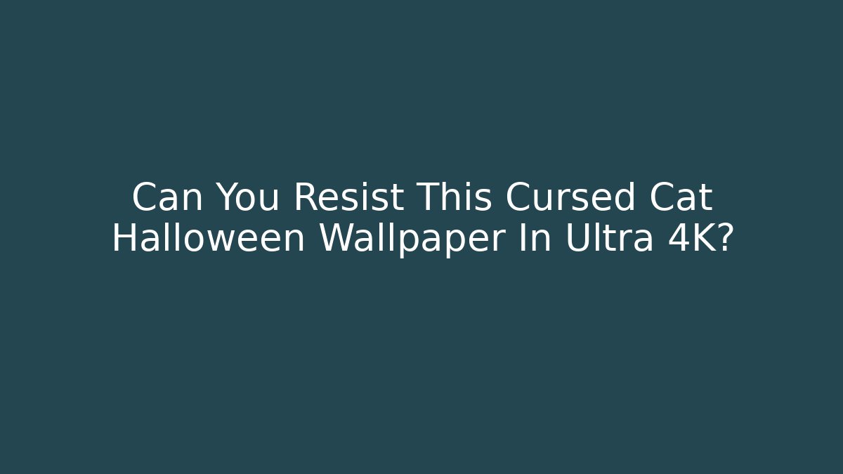 Can You Resist This Cursed Cat Halloween Wallpaper In Ultra 4K?