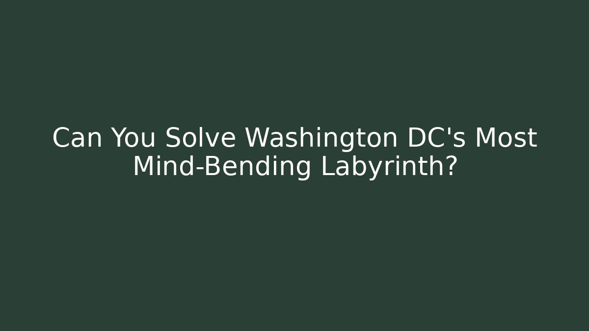 Can You Solve Washington DC's Most Mind-Bending Labyrinth?
