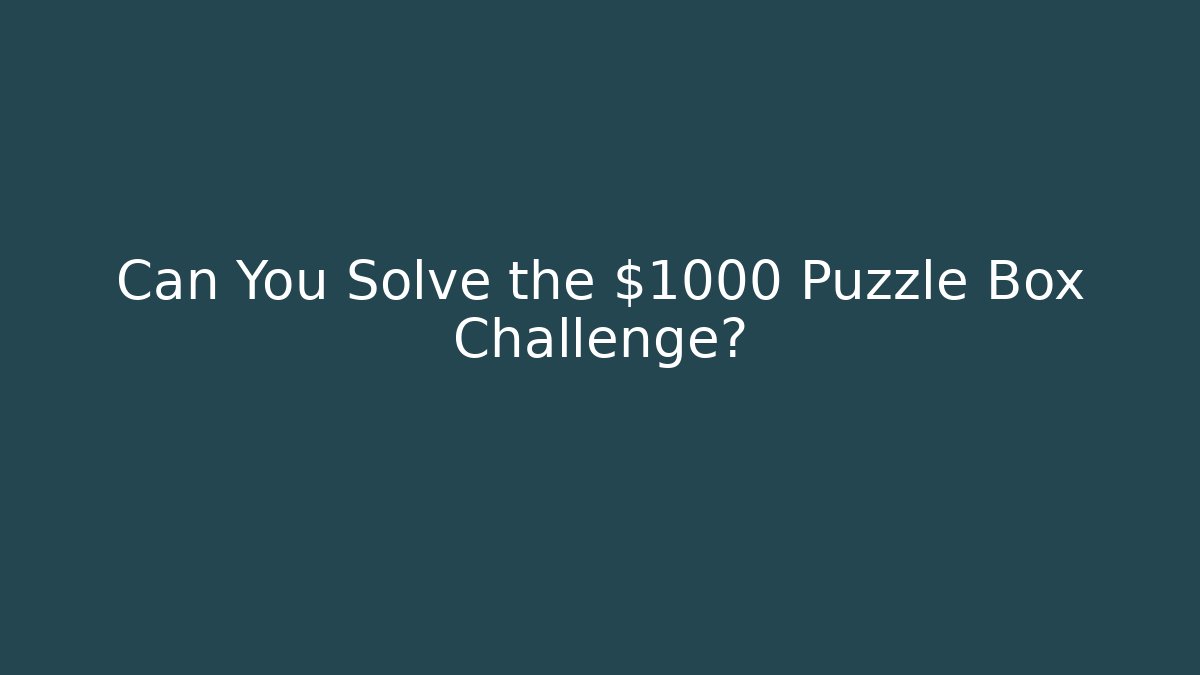 Can You Solve the $1000 Puzzle Box Challenge?