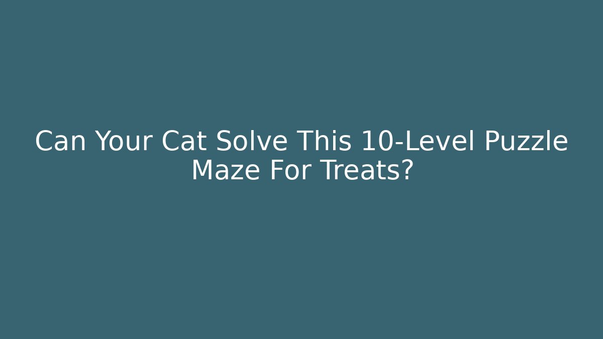 Can Your Cat Solve This 10-Level Puzzle Maze For Treats?