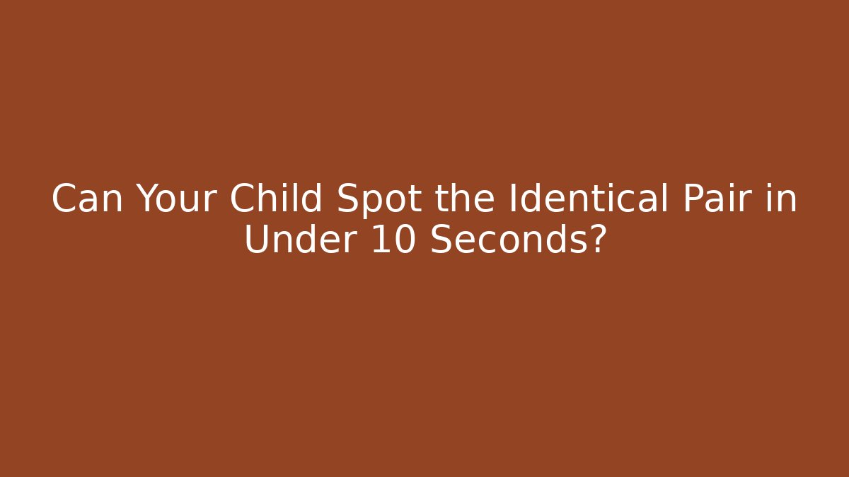 Can Your Child Spot the Identical Pair in Under 10 Seconds? - The Family Holidays