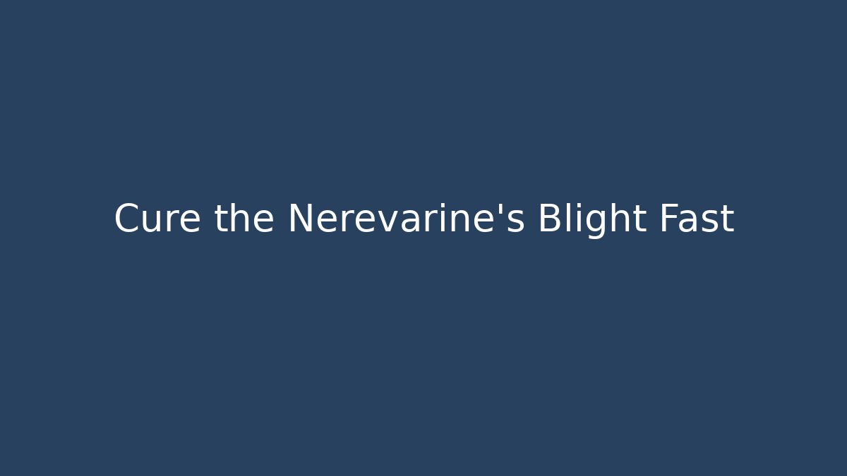 Cure the Nerevarine's Blight Fast