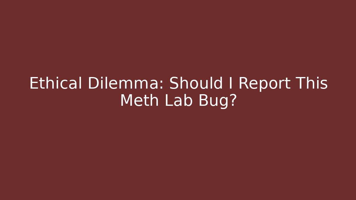 Ethical Dilemma: Should I Report This Meth Lab Bug?