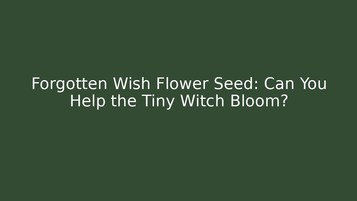 Forgotten Wish Flower Seed: Can You Help the Tiny Witch Bloom?