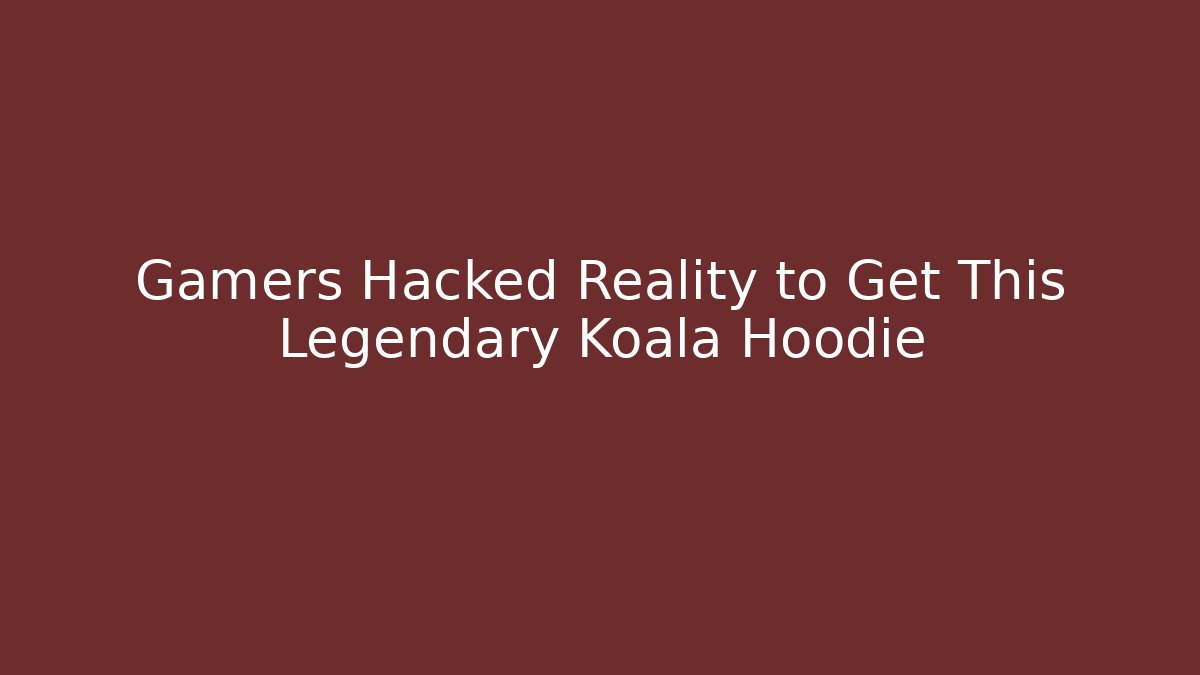 Gamers Hacked Reality to Get This Legendary Koala Hoodie - The Family Holidays