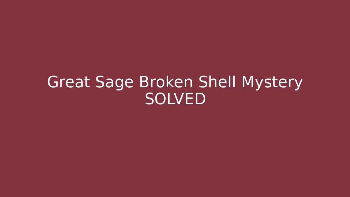 Great Sage Broken Shell Mystery SOLVED - The Family Holidays