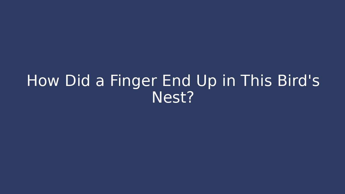How Did a Finger End Up in This Bird's Nest?