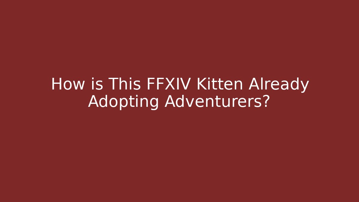How is This FFXIV Kitten Already Adopting Adventurers?