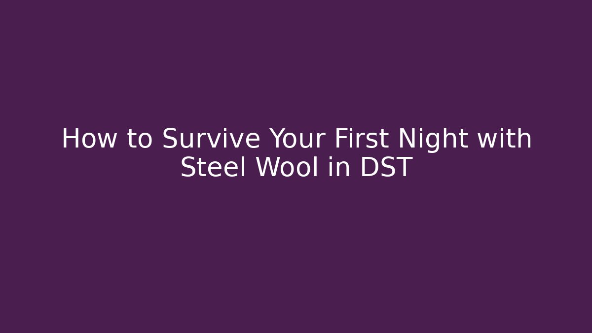 How to Survive Your First Night with Steel Wool in DST