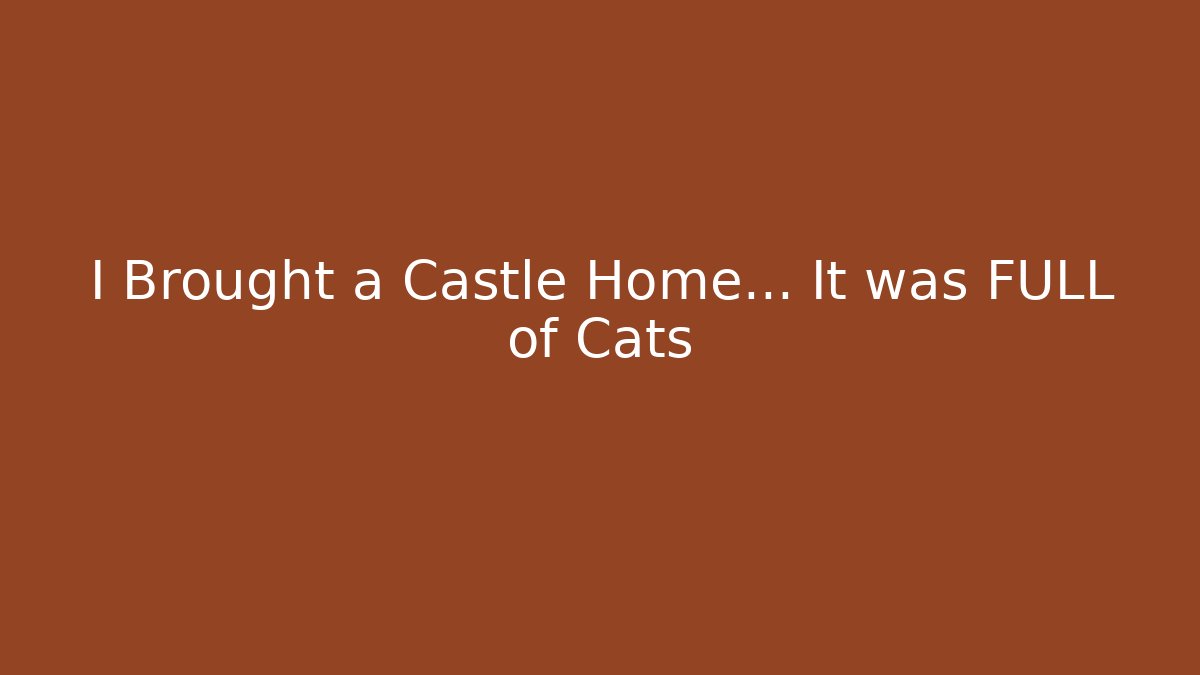 I Brought a Castle Home... It was FULL of Cats - The Family Holidays
