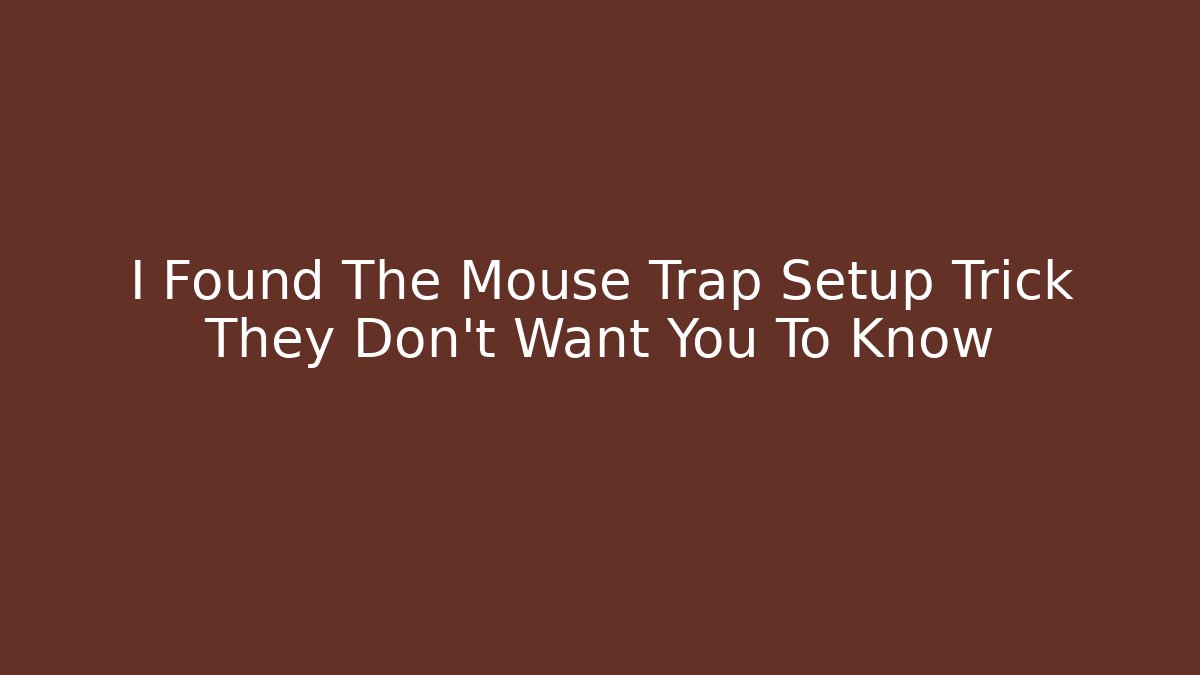 I Found The Mouse Trap Setup Trick They Don’t Want You To Know