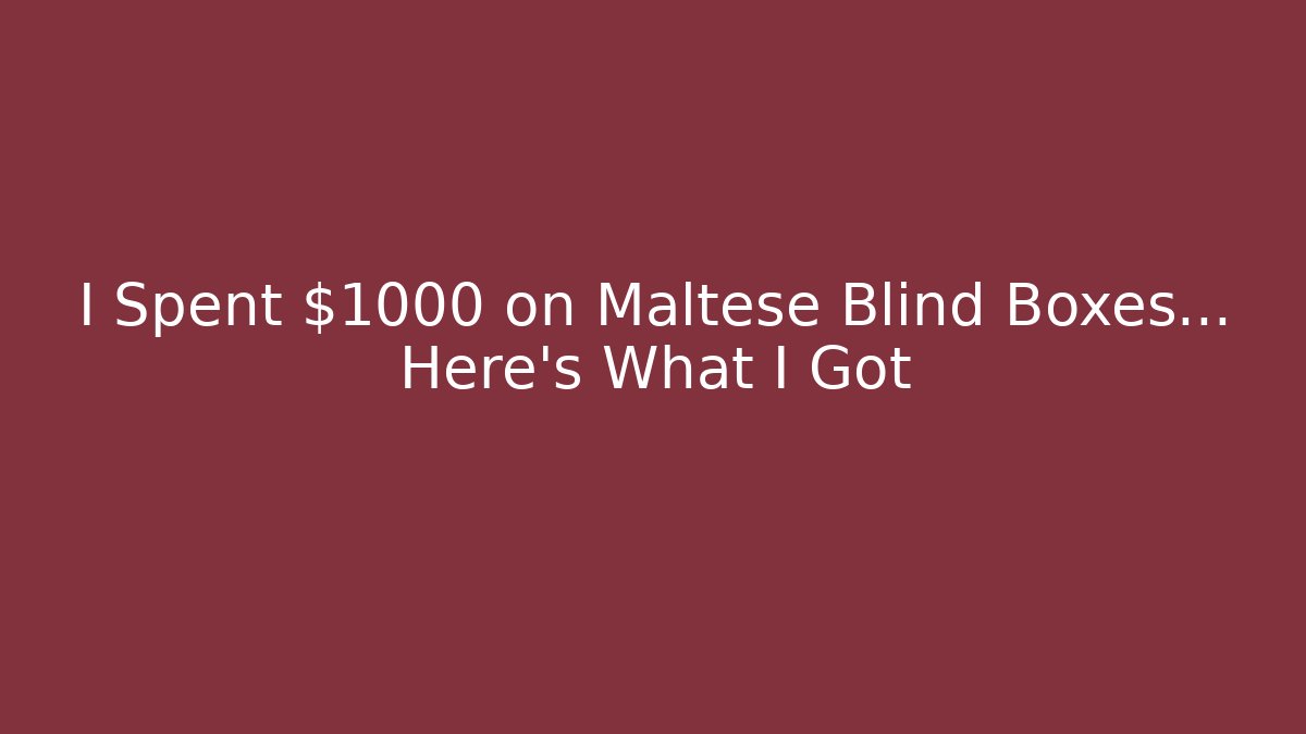I Spent $1000 on Maltese Blind Boxes... Here's What I Got