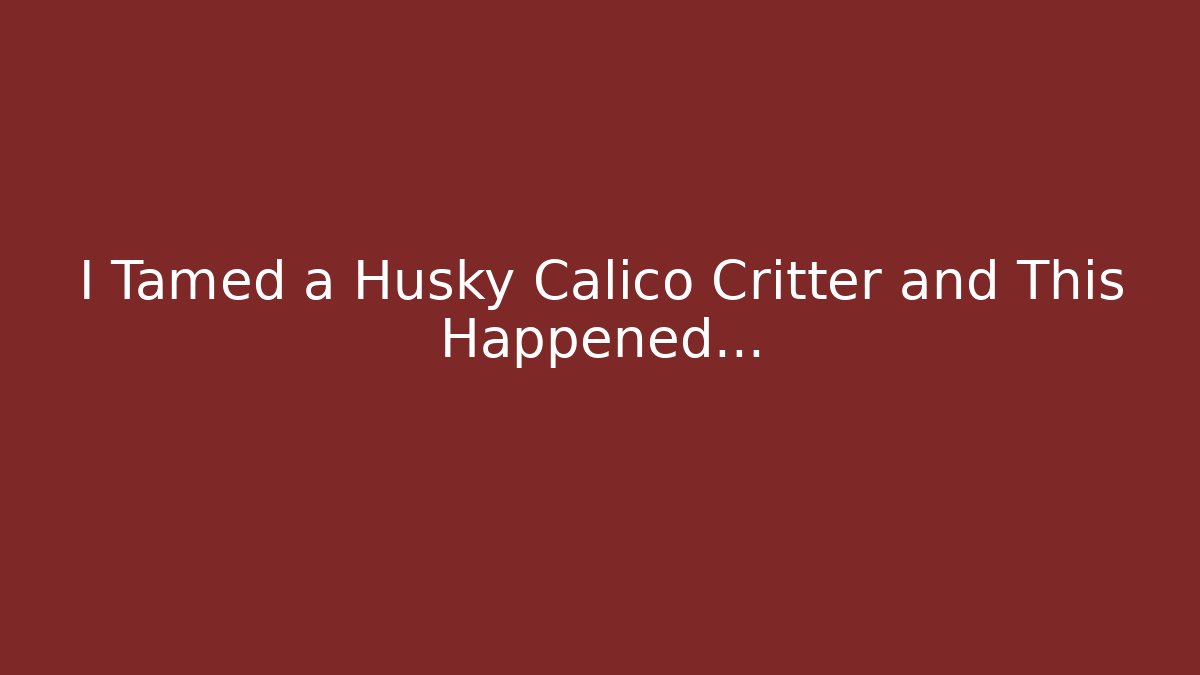 I Tamed a Husky Calico Critter and This Happened…