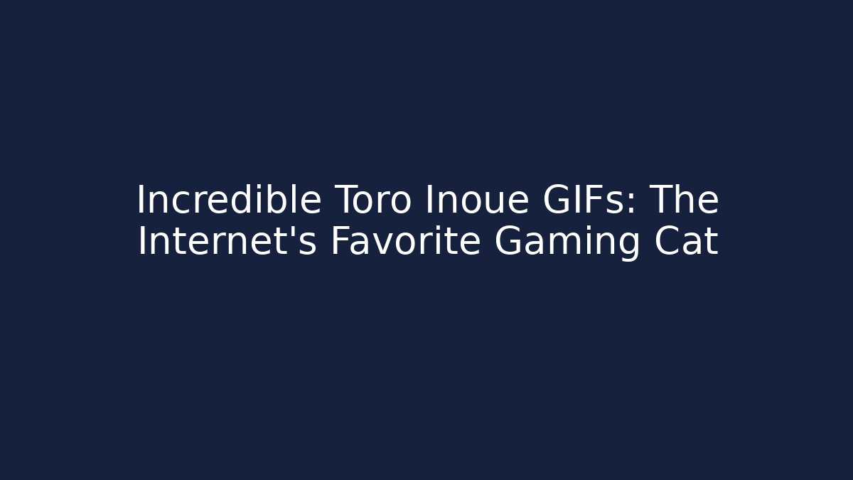 Incredible Toro Inoue GIFs: The Internet’s Favorite Gaming Cat