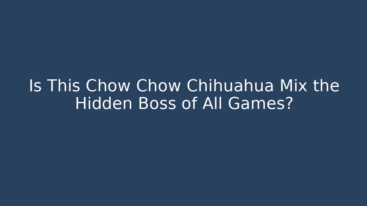 Is This Chow Chow Chihuahua Mix the Hidden Boss of All Games?