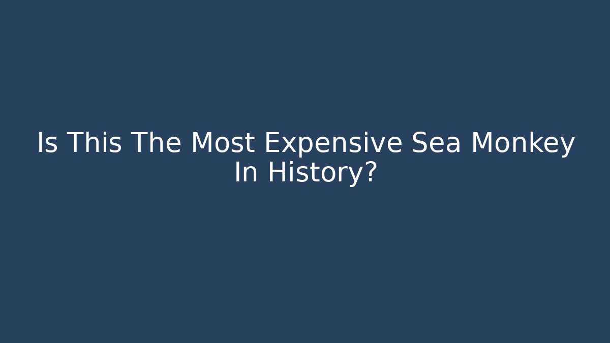 Is This The Most Expensive Sea Monkey In History?