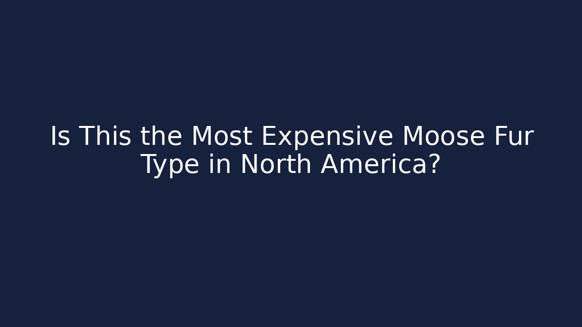 Is This the Most Expensive Moose Fur Type in North America?