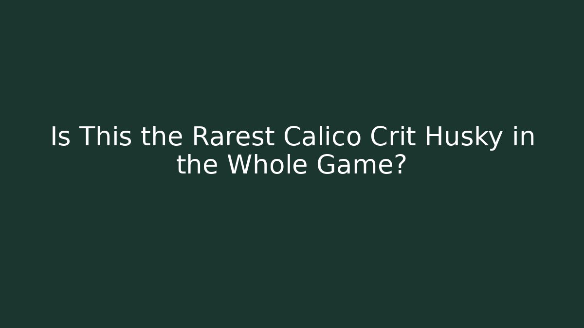 Is This the Rarest Calico Crit Husky in the Whole Game?
