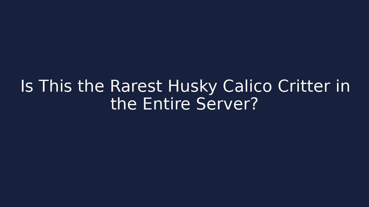 Is This the Rarest Husky Calico Critter in the Entire Server?