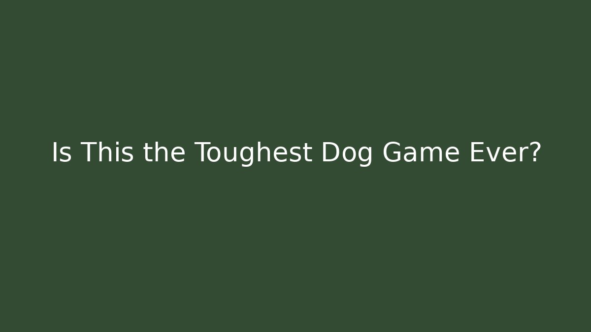Is This the Toughest Dog Game Ever? - The Family Holidays