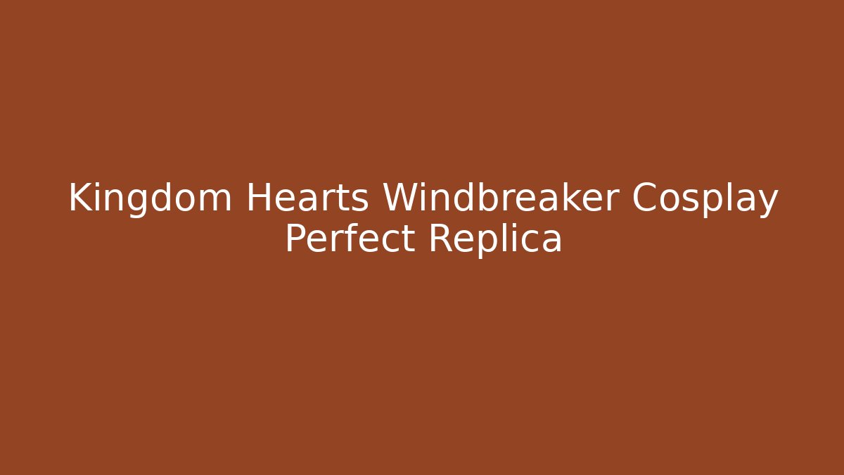 Kingdom Hearts Windbreaker Cosplay Perfect Replica