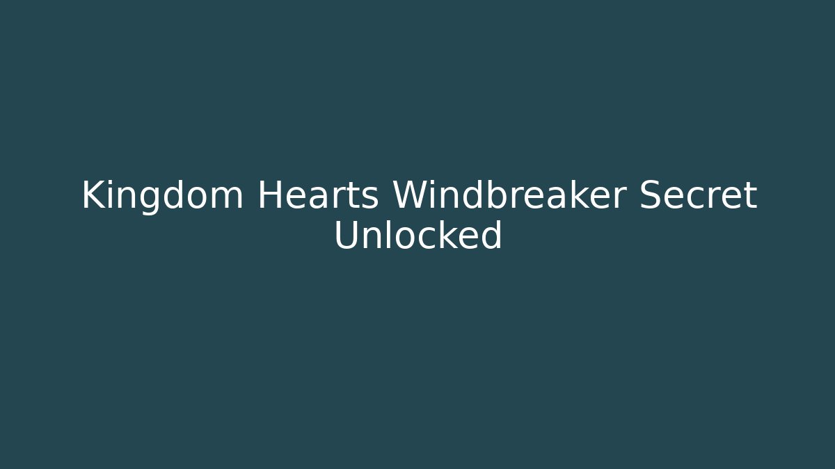 Kingdom Hearts Windbreaker Secret Unlocked