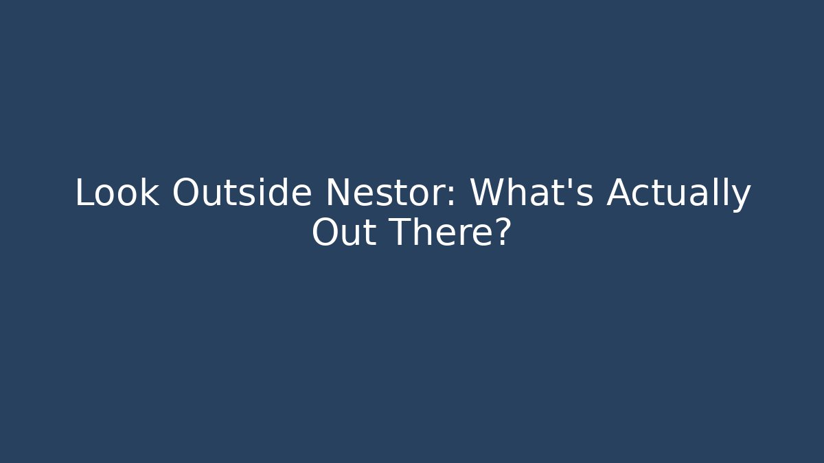 Look Outside Nestor: What's Actually Out There?