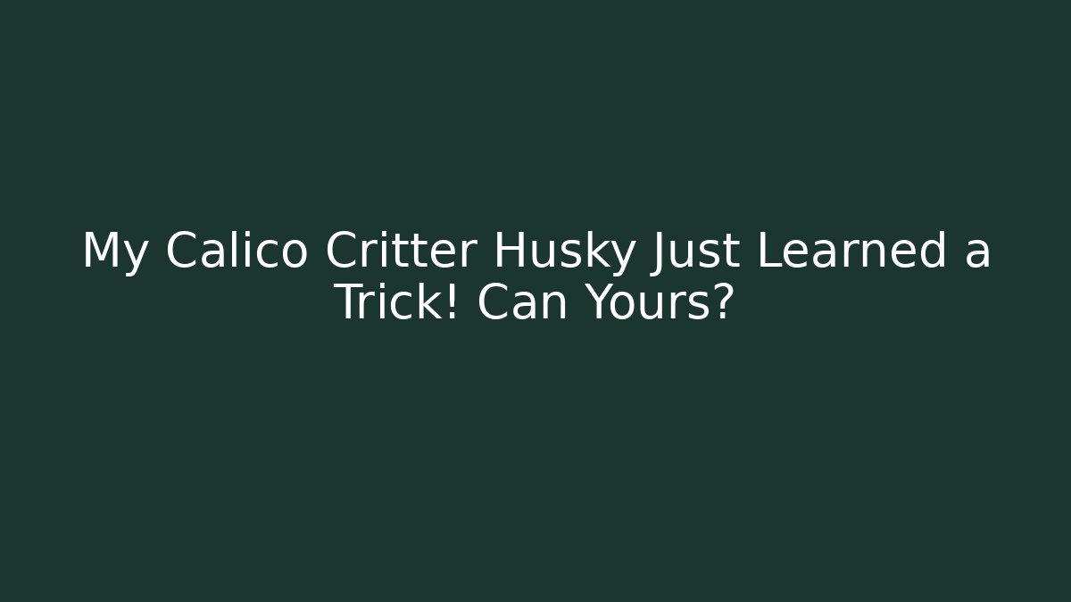 My Calico Critter Husky Just Learned a Trick! Can Yours?