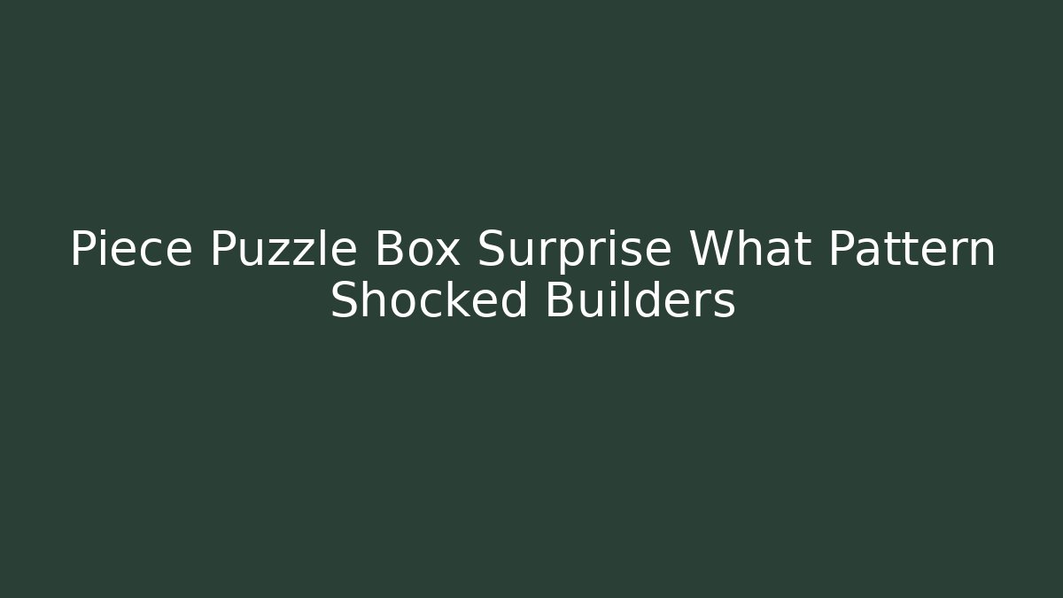 Piece Puzzle Box Surprise What Pattern Shocked Builders