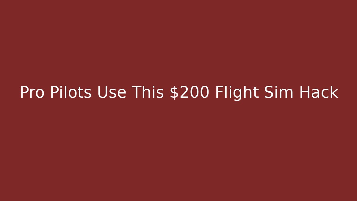 Pro Pilots Use This $200 Flight Sim Hack