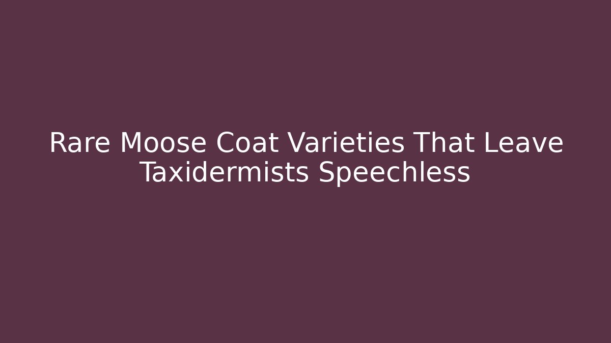 Rare Moose Coat Varieties That Leave Taxidermists Speechless