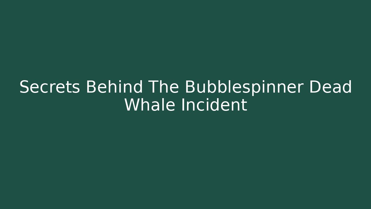 Secrets Behind The Bubblespinner Dead Whale Incident