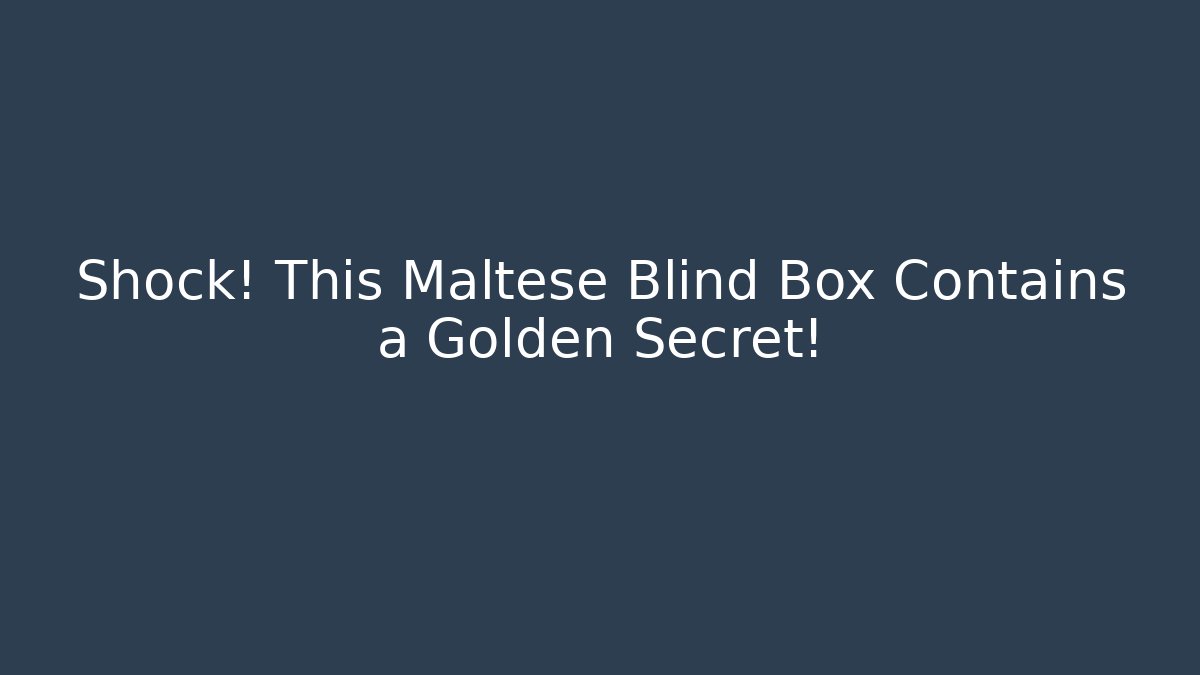 Shock! This Maltese Blind Box Contains a Golden Secret!
