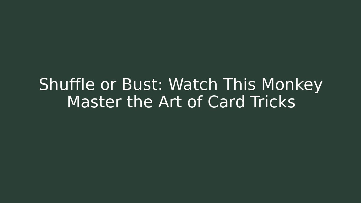 Shuffle or Bust: Watch This Monkey Master the Art of Card Tricks