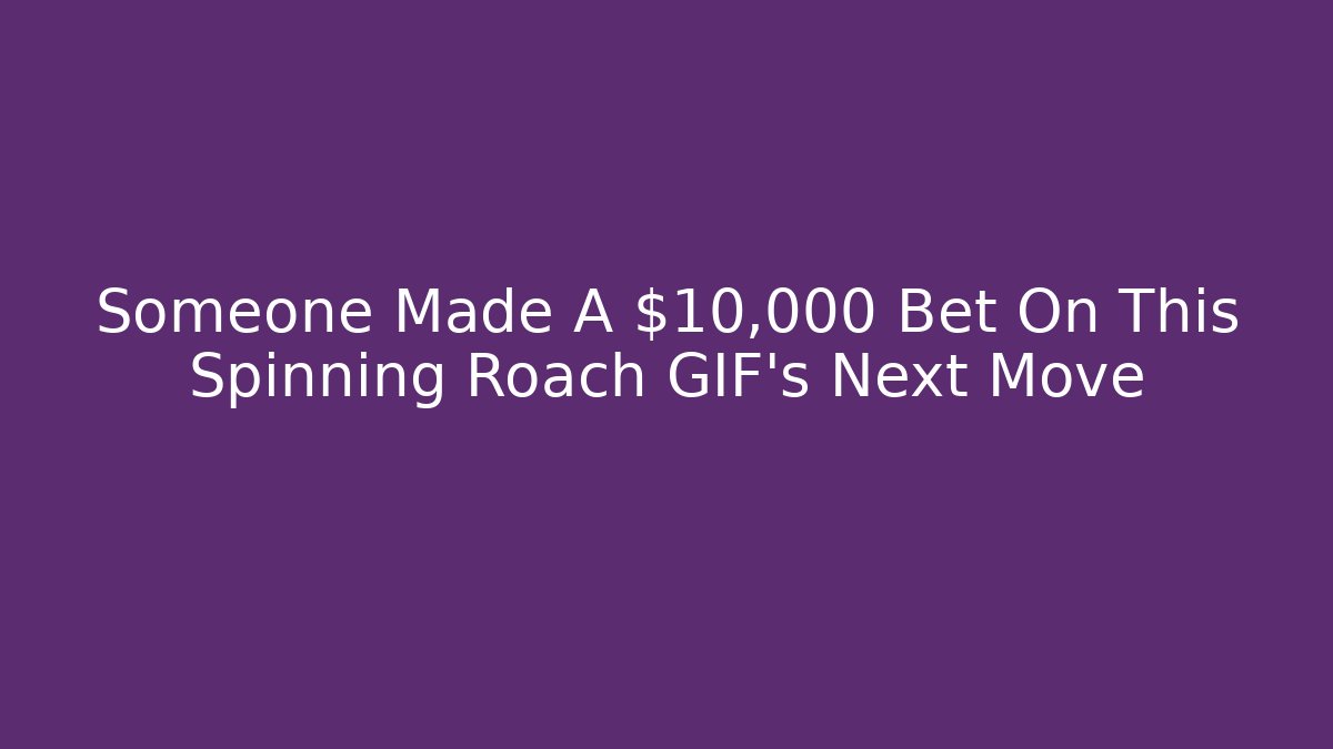 Someone Made A $10,000 Bet On This Spinning Roach GIF's Next Move