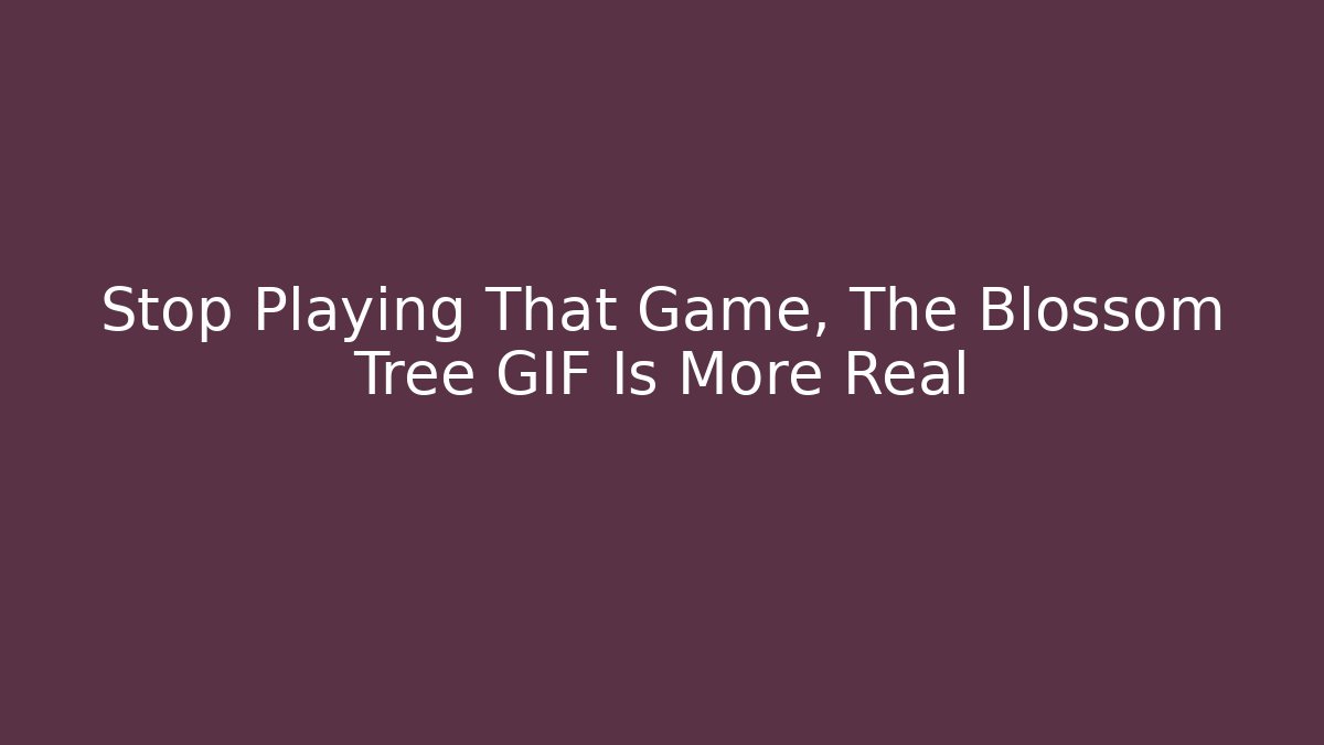 Stop Playing That Game, The Blossom Tree GIF Is More Real