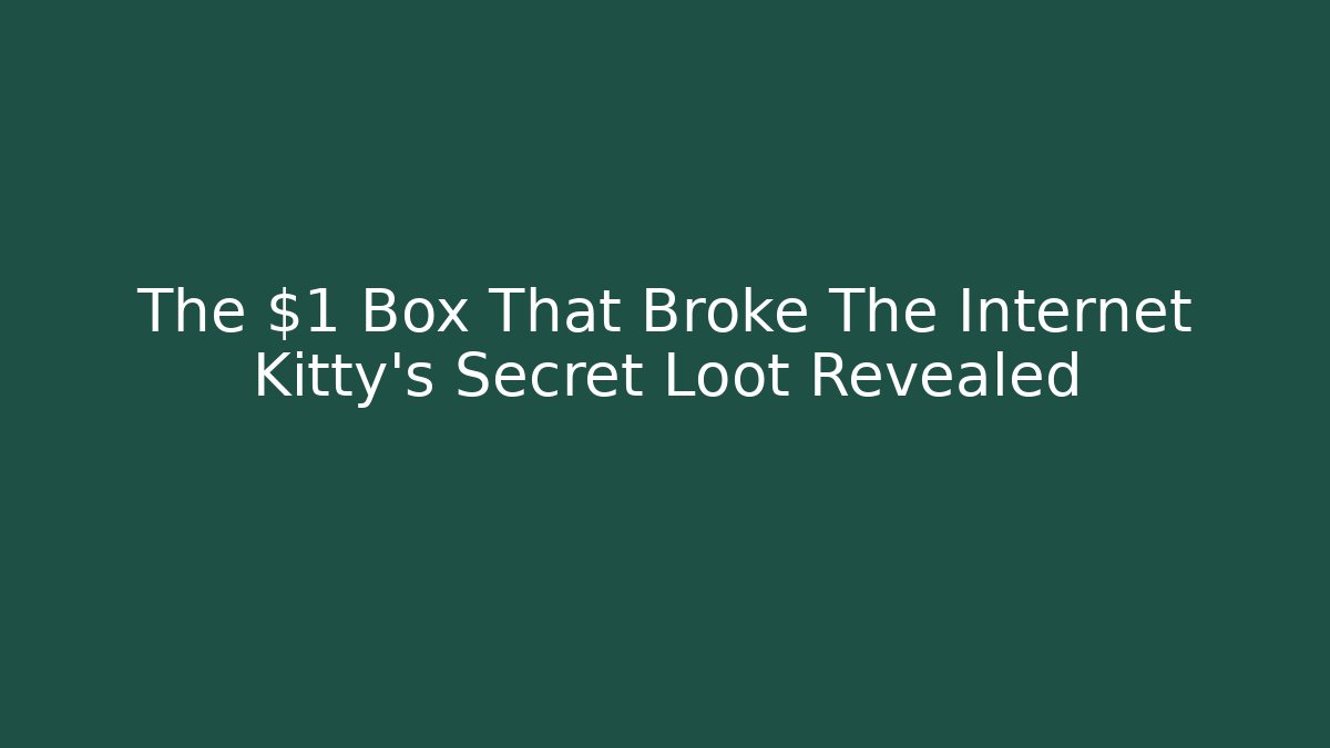 The $1 Box That Broke The Internet Kitty's Secret Loot Revealed