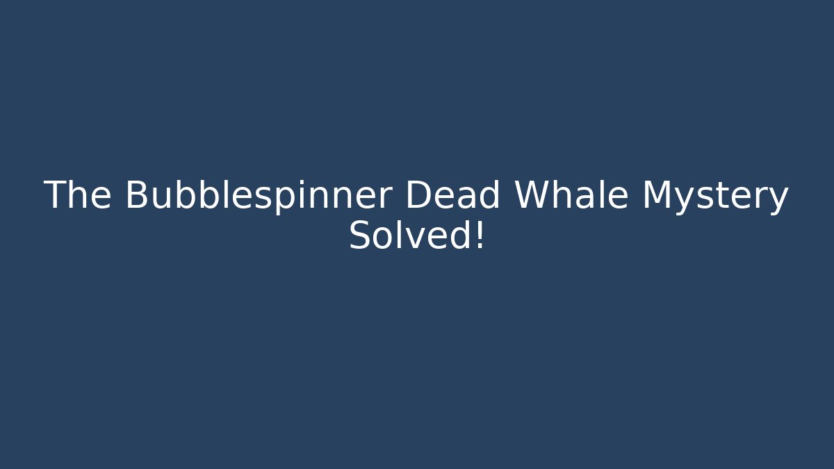 The Bubblespinner Dead Whale Mystery Solved!