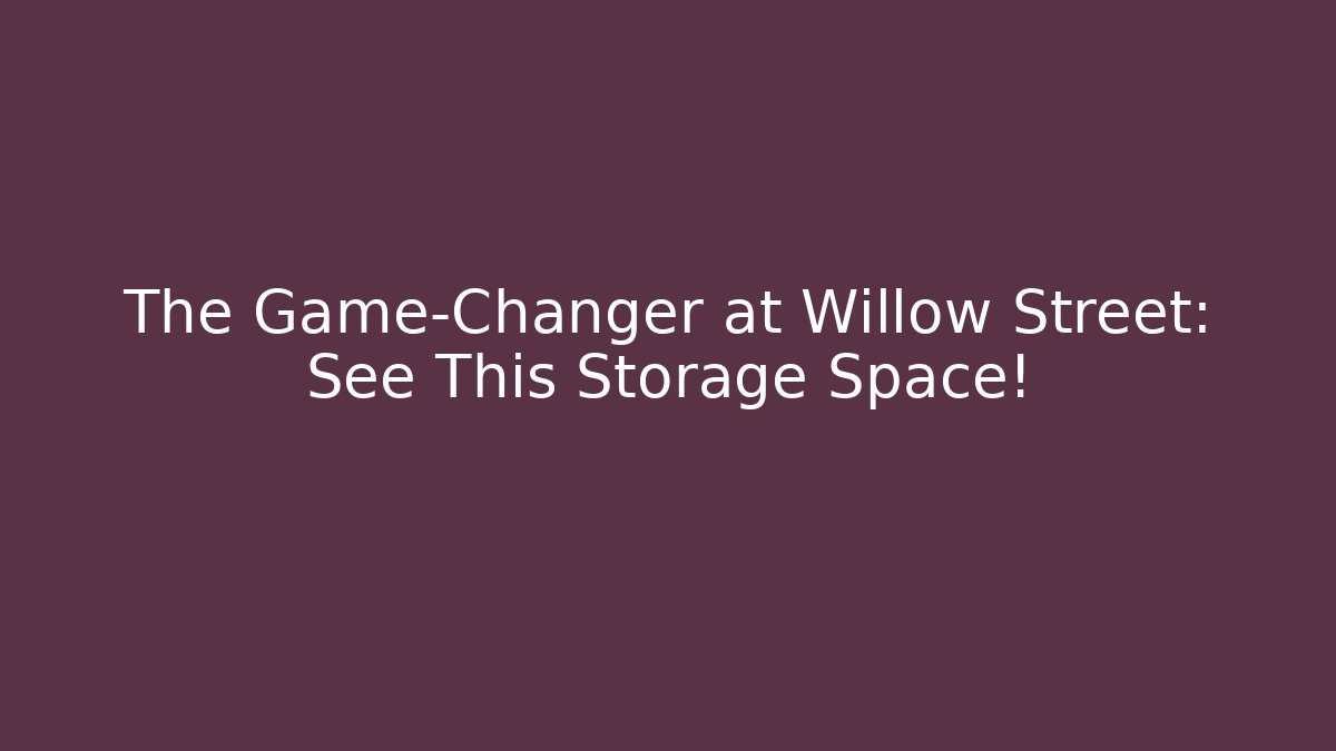 The Game-Changer at Willow Street: See This Storage Space!