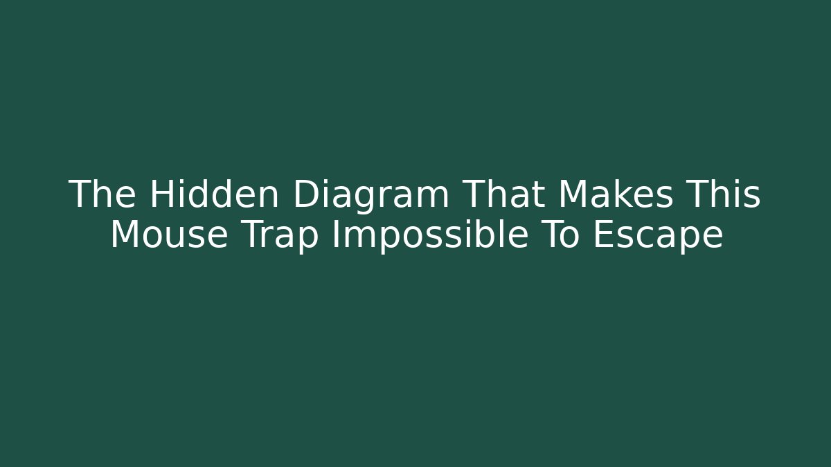 The Hidden Diagram That Makes This Mouse Trap Impossible To Escape