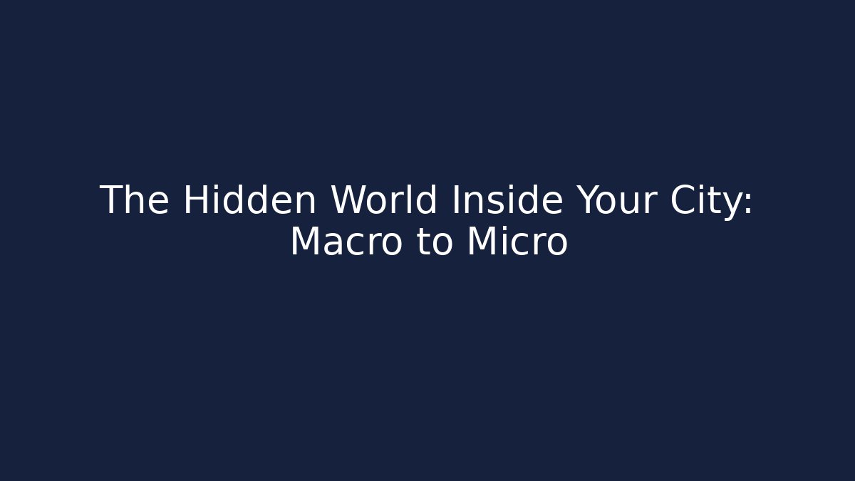 The Hidden World Inside Your City: Macro to Micro