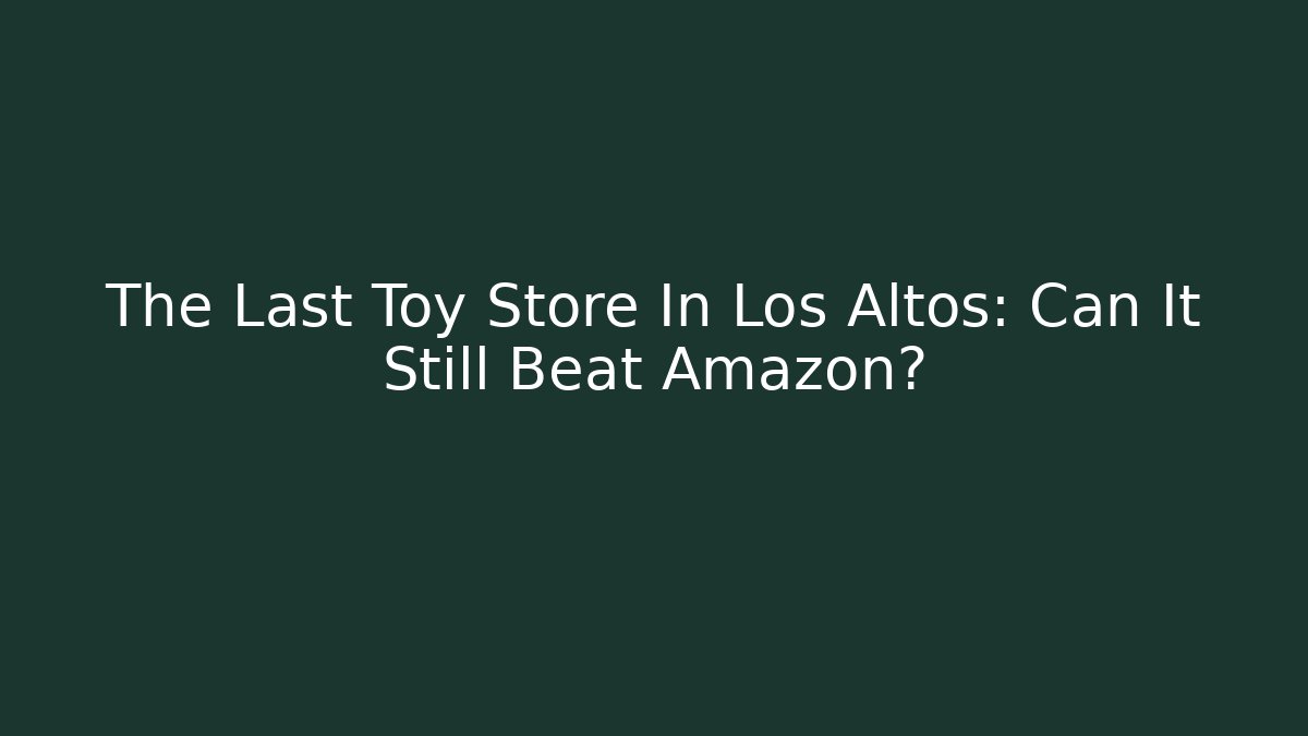 The Last Toy Store In Los Altos: Can It Still Beat Amazon?